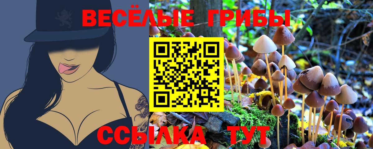 Луга  Галлюциногенные грибы прущие грибы  Вход с VPN  Галлюциногенные грибы ЛСД 